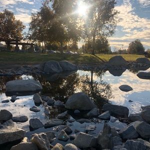 Meet your Posher, Annmeree